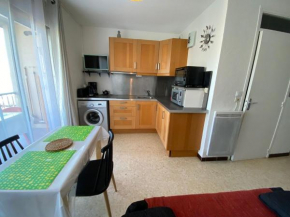 Appartement cosy proche thermes à Balaruc-les-Bains, animaux admis - FR-1-503-92